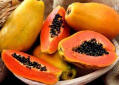 Hindari Mengonsumsi Pepaya Bersamaan dengan Makanan Ini