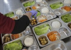 Menu Viral Buah Kecapi Minta Maaf dari SPPG