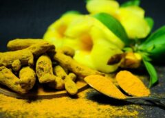 3 Tanaman yang Banyak Ditemui di RI Sebagai Obat Anti Kanker