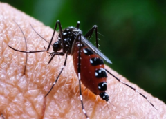 Penyebab, Gejala, dan Cara Mencegah Masalah Kesehatan