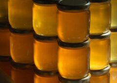 Temuan Obat Anti Kanker dalam Madu di Indonesia
