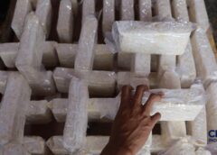 Coba Tempe Tanpa Kacang Kedelai, Hasilnya Tak Terduga di RI